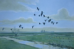 http://www.baronfineart.co.uk/Gallery/peter_scott.htm